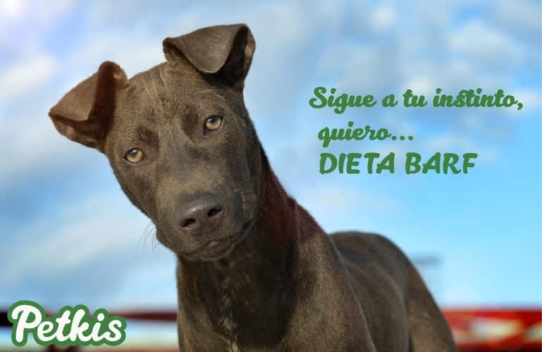 alimentacion-barf-petkis-barf-para-perros