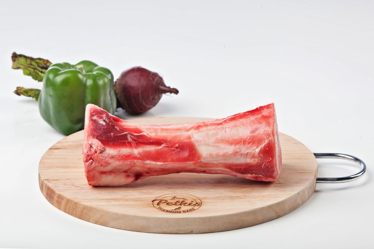 Hueso recreativo potro