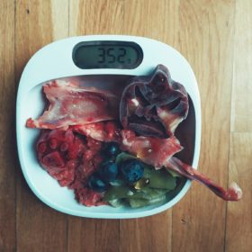 menu-conejo-para-perro-petkis-barf