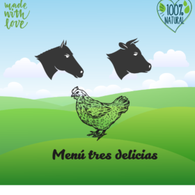 menu-pollo-ternera-potro-petkis-barf-para-perros