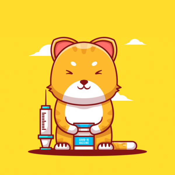 origen-mascotas-petkis-barf