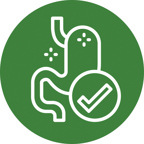 digestiones-sanas-petkis-barf