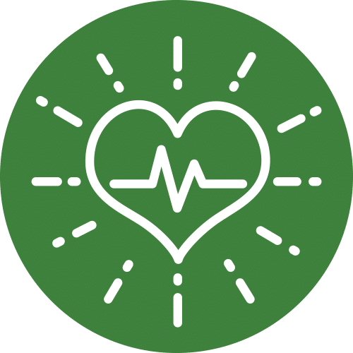 vitalidad-petkis-barf