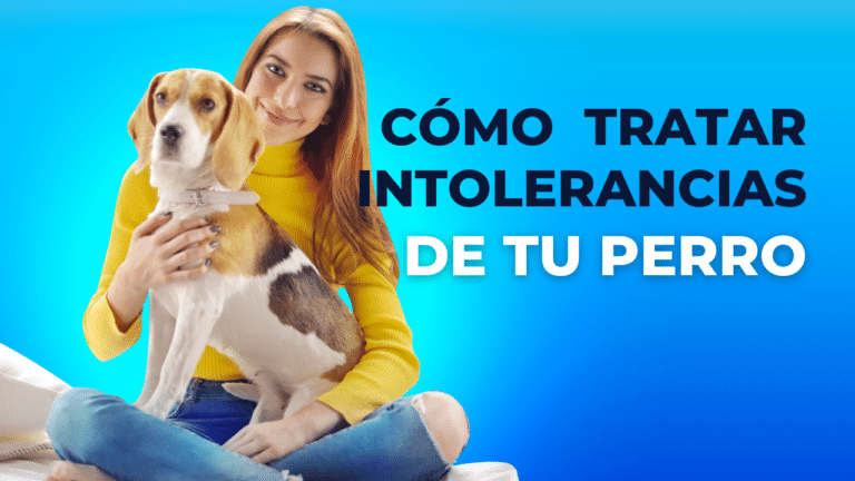 menus-alergias-perros-petkis