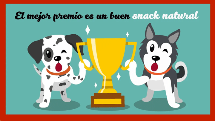 snacks-naturales-petkis-barf-perros-gatos