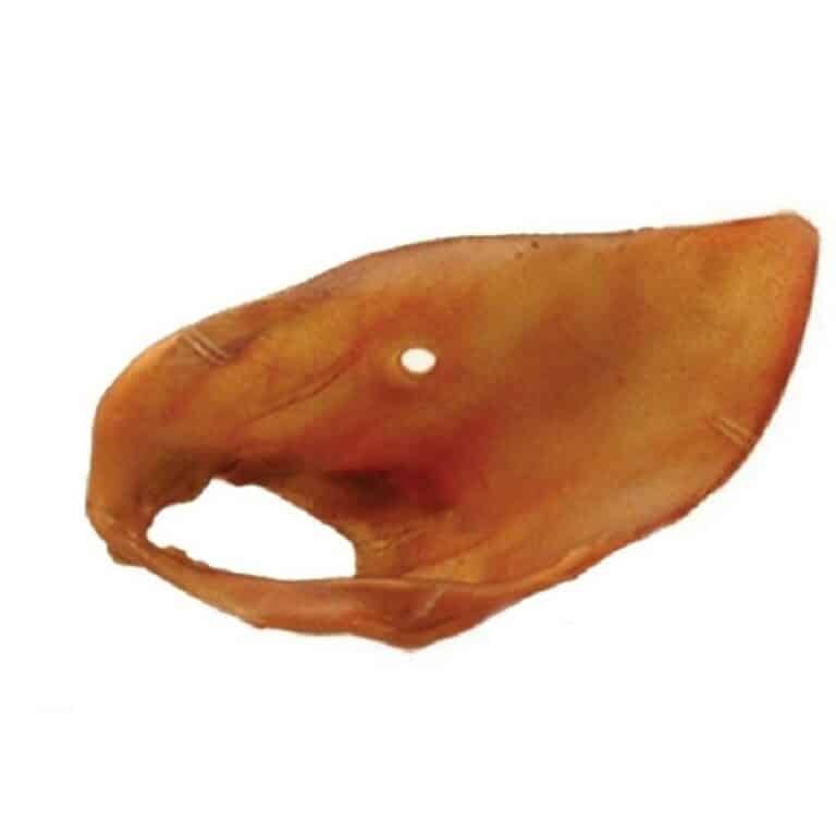 oreja-de-cerdo-grande